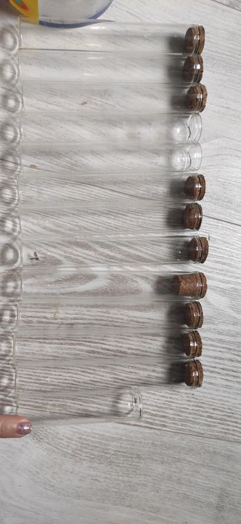 Lot de 13 tubes à essais