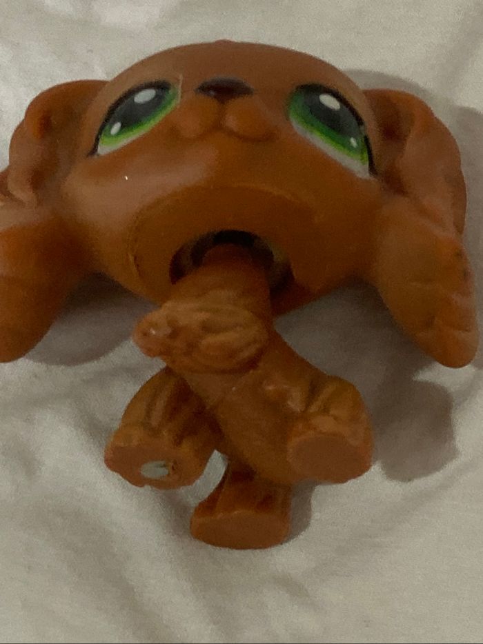 lps cocker - photo numéro 5