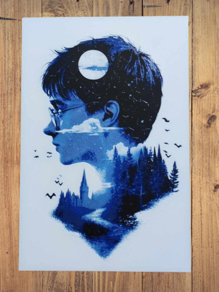 Tableau en relief Harry Potter (impression 3D)