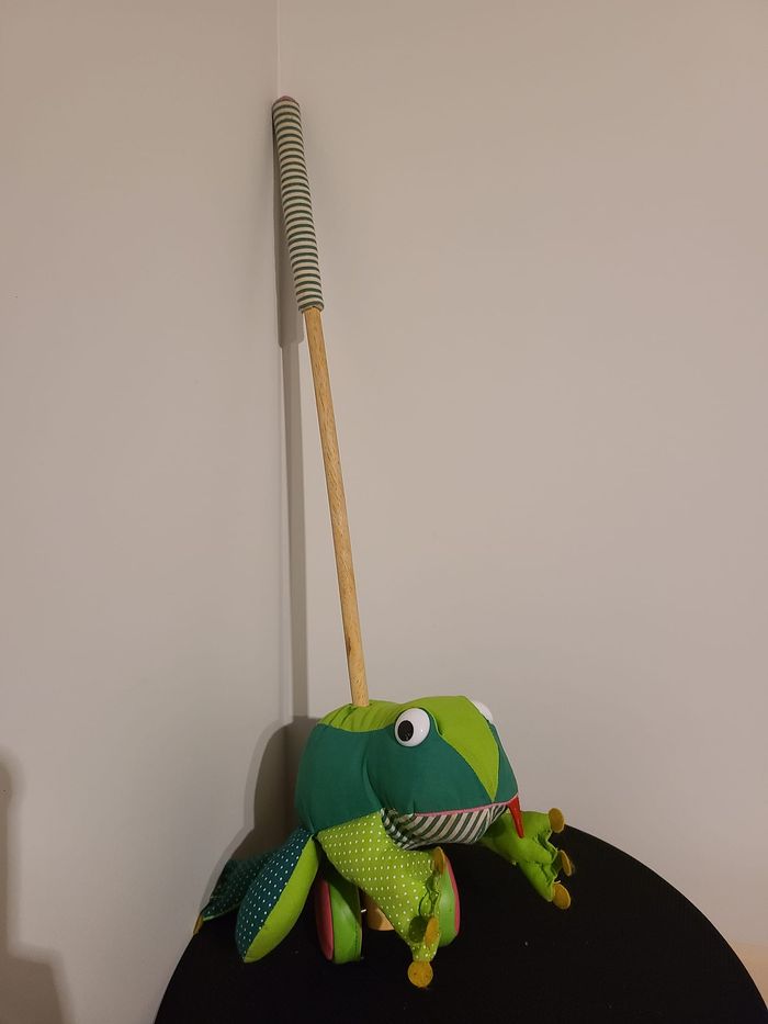 grenouille - photo numéro 5