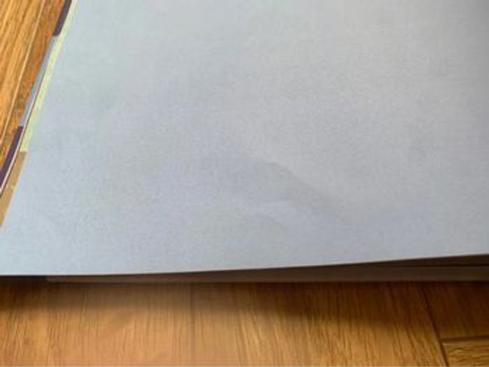 Livre Le loup qui croyait en ses rêves grand album Auzou - photo numéro 5