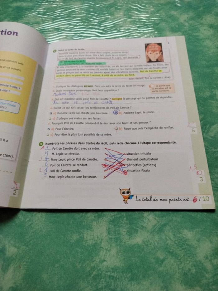 Mini chouette - photo numéro 4