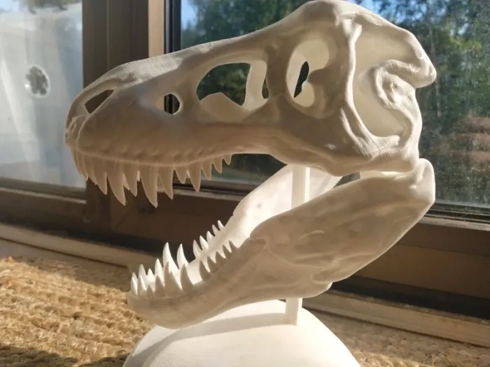 Crâne de T-Rex tyrannosaure Jurassic park - photo numéro 14