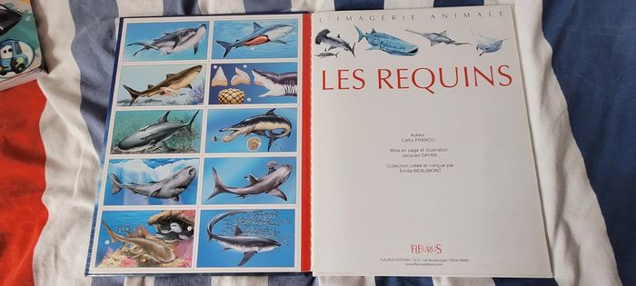 Requins - photo numéro 2
