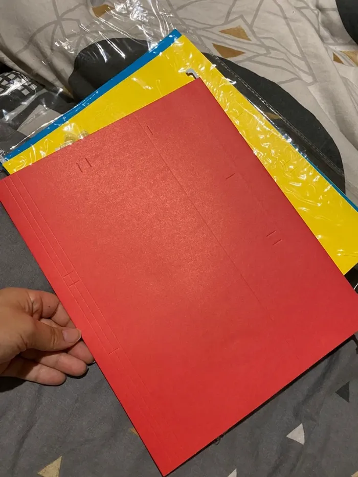 Dossier suspendu - photo numéro 2