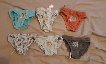 Lot de 6 slips pat patrouille