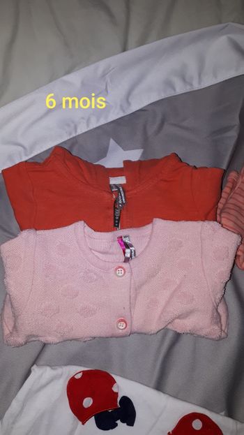 Lot 1 veste a capuche/ gilet rose marque orchestra