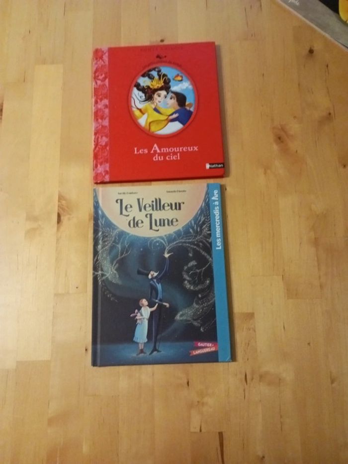 Lot de deux livres