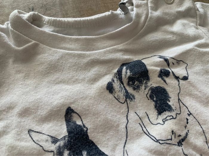 T-shirt IKKS - photo numéro 2