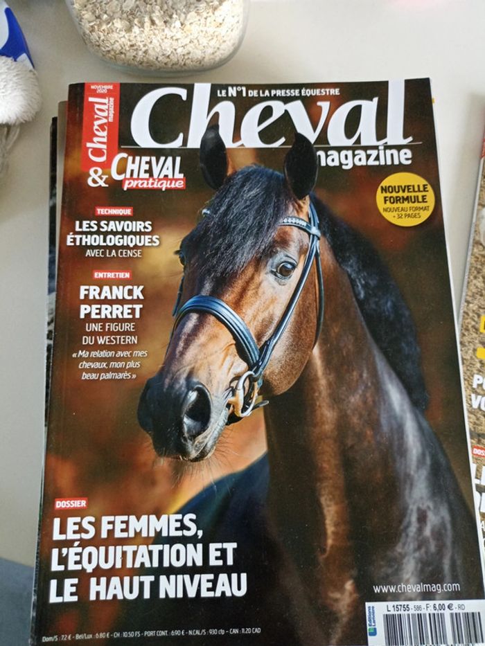 Cheval pratique - photo numéro 11