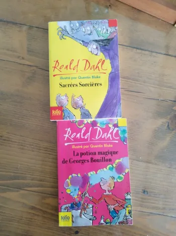 Lot 2 romans Roald Dahl