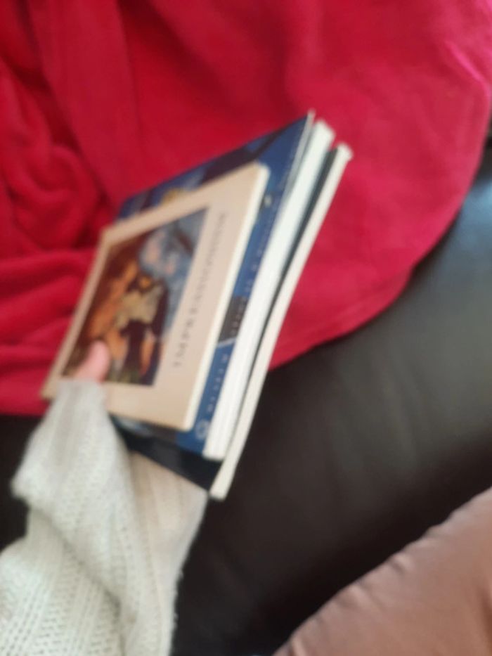 Lot de 2 livres historique peinture photo p o - photo numéro 8