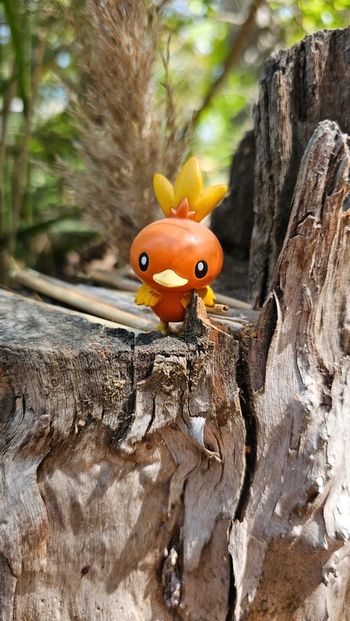 Super figurine Pokemon Nintendo Poussifeu