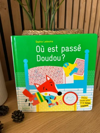 Livre Où est passé Doudou ?