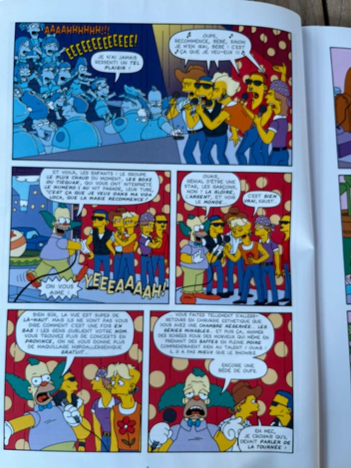 livre Les Simpson - photo numéro 3