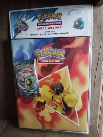 Pokémon Aventures Ensemble et Portfolio