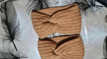 2  bandeaux à cheveux