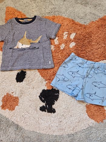 Ensemble requin