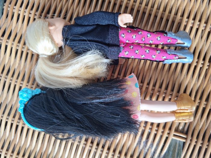 Lot de 2 poupées shelly neuves (1 blonde et 1 brune) et un lot d'animaux (chiens - chat) - photo numéro 5