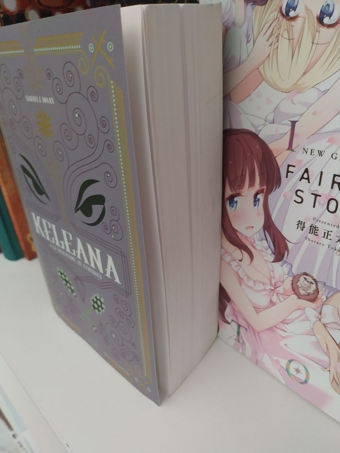 Roman Keleana tome 7 Le Royaume de Cendres- Sarah J. Maas La Martinière - photo numéro 6