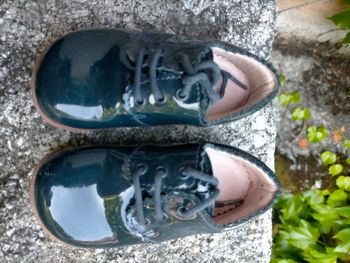 Ravissants derby Jacadi pt 21