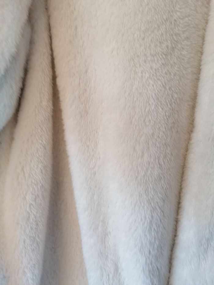 Réservé Manteau à capuche shein 44 - photo numéro 4