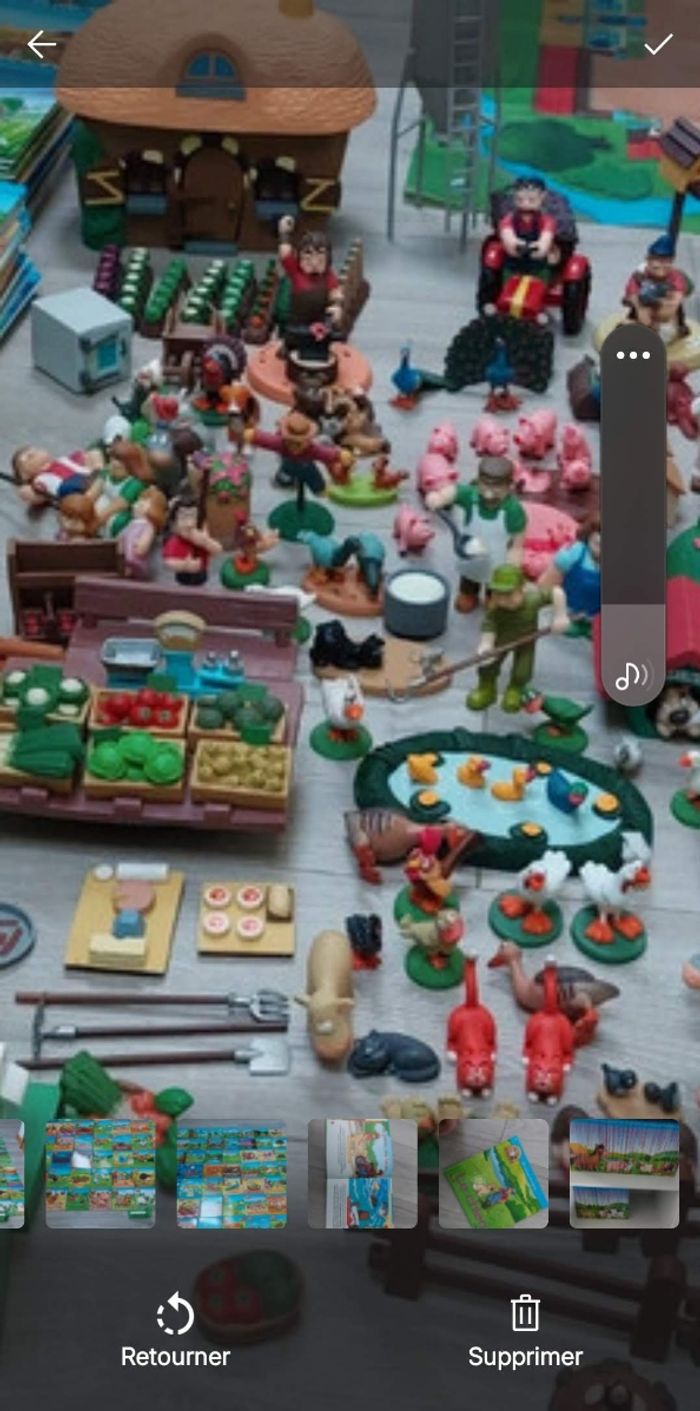 Collection livres et figurines les animaux de la ferme - photo numéro 9