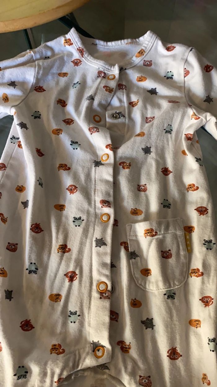 Grenouillère - photo numéro 7