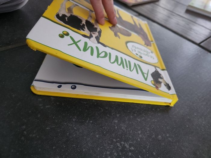 Livre bébé : Animaux - photo numéro 6