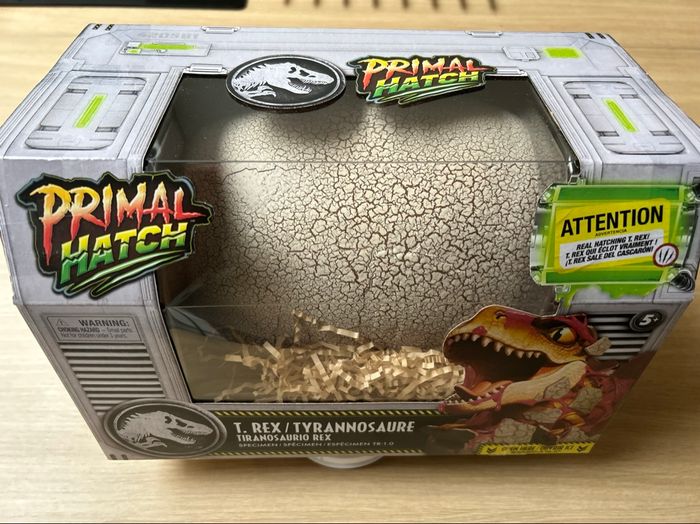 Œuf dinosaure t rex