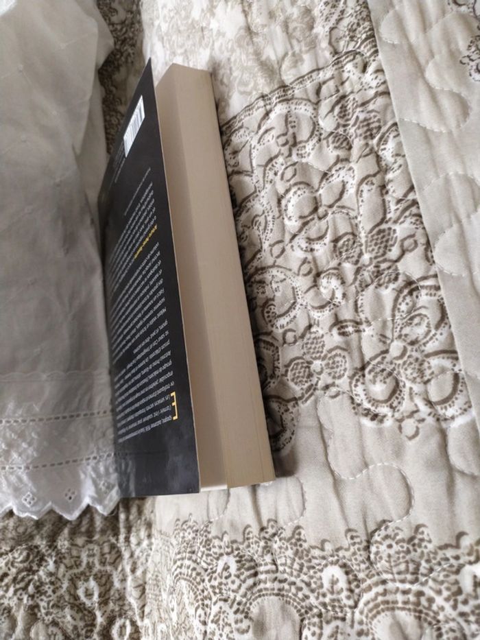 Falco de Arturo Pérez -Reverte - photo numéro 5