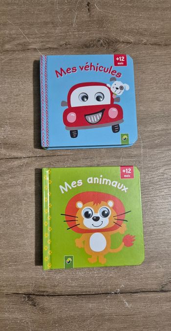 Lot livres imagier cache-cache 