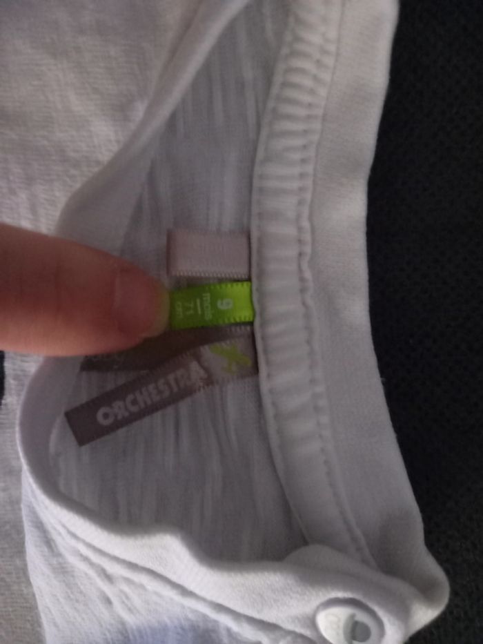 Pull/ t-shirt manches longues 9 mois - photo numéro 3