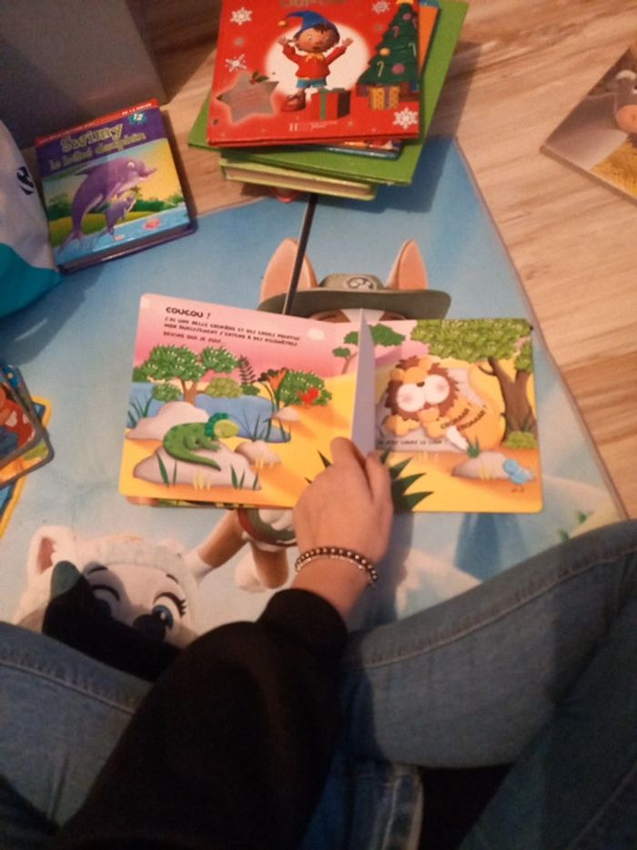 Livre flip flash au zoo - photo numéro 4