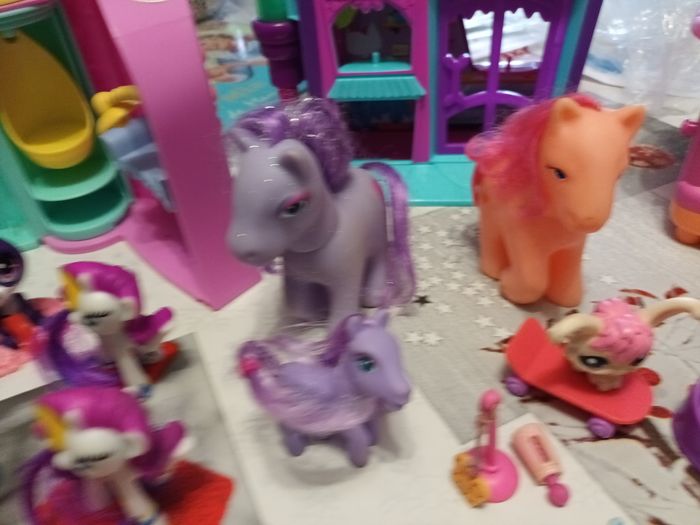 Pet Shop - photo numéro 5