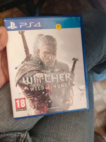 The witcher wild hunt ps4
