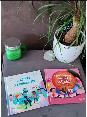 Lot de 2 livres Mc Donald's