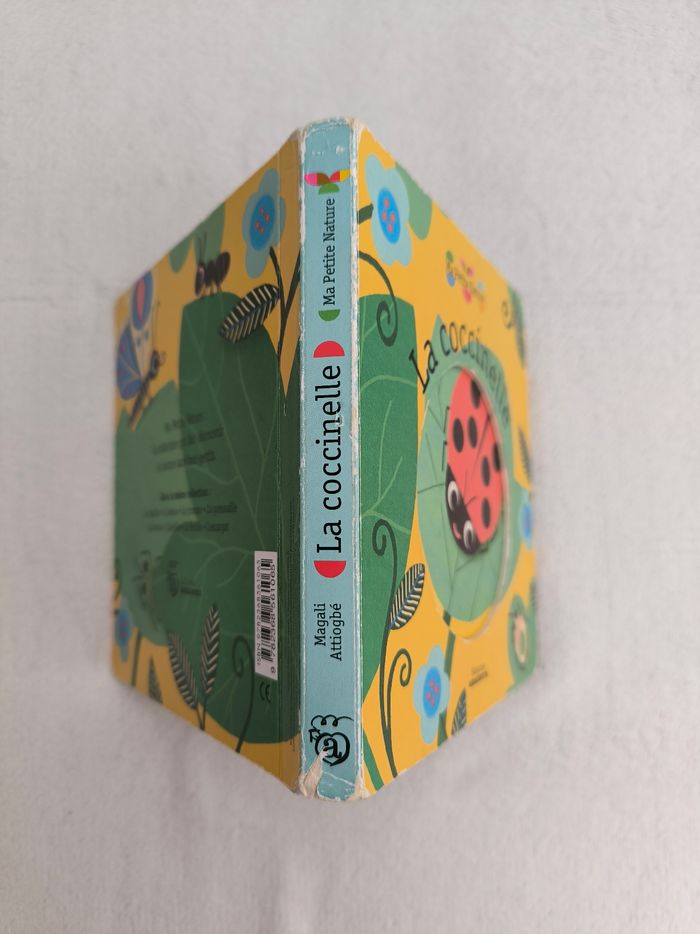 Livre La coccinelle Amaterra - photo numéro 7