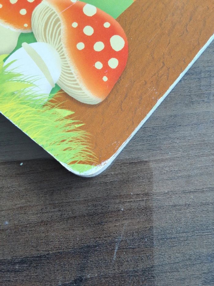 Livre - photo numéro 5