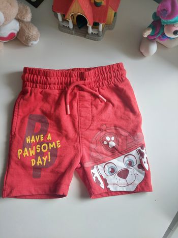 Short Paw Patrol