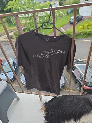 Tee shirt guess