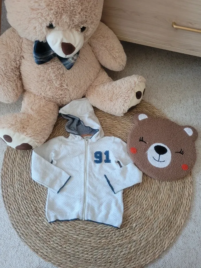 Sweat / Gilet à capuche