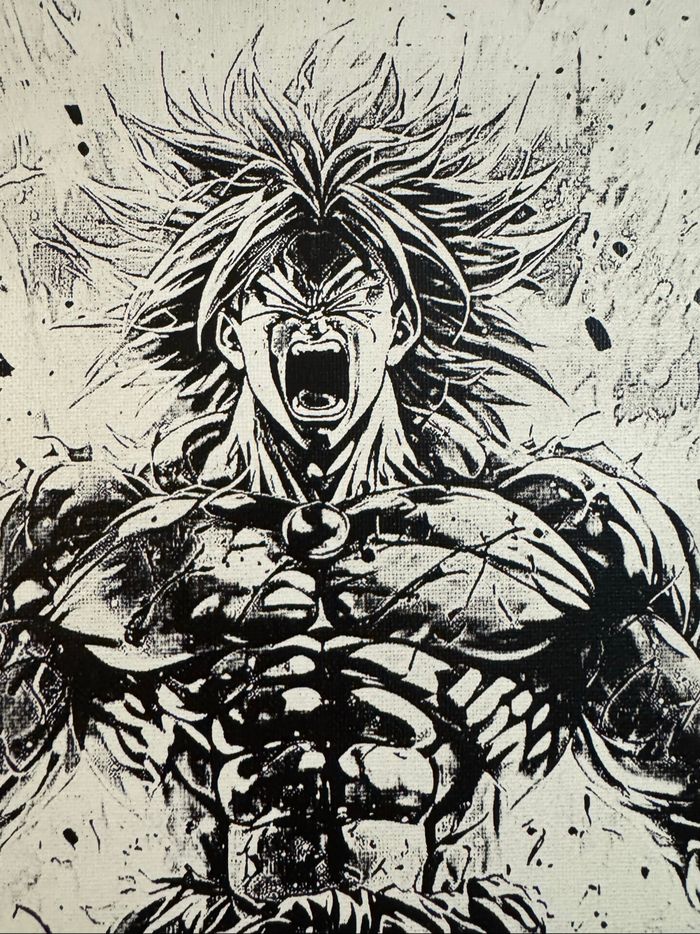Tableau Broly légendaire Dragon Ball en toile 30x40cm - photo numéro 4