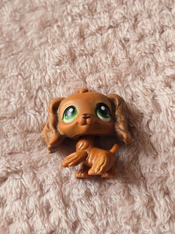 Petshop