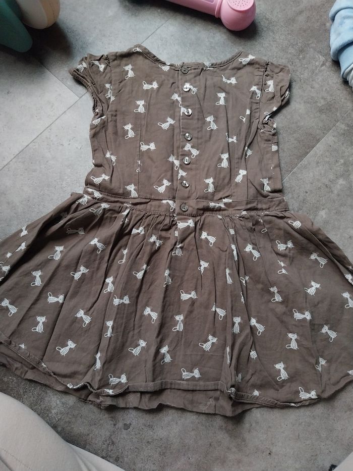 Robe chat - photo numéro 3