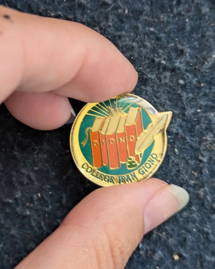 Pins collège Jean Giono