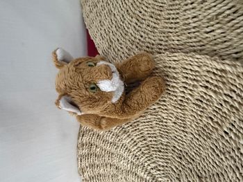 Doudou Chat Nature et découvertes Marron 