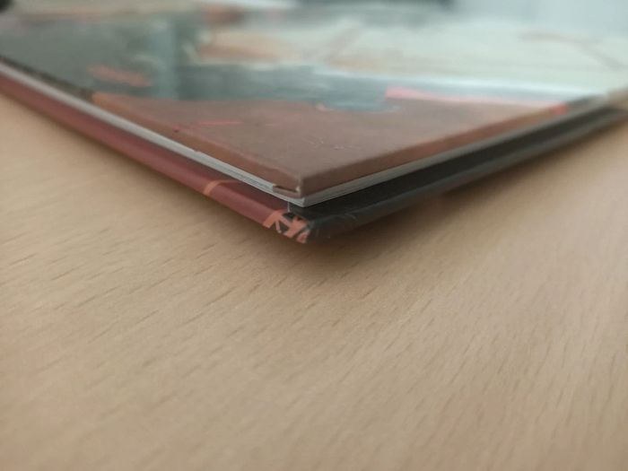 BD L'ogre lion tome 1 : le lion barbare (Bessadi / éditions Drakoo) - photo numéro 4