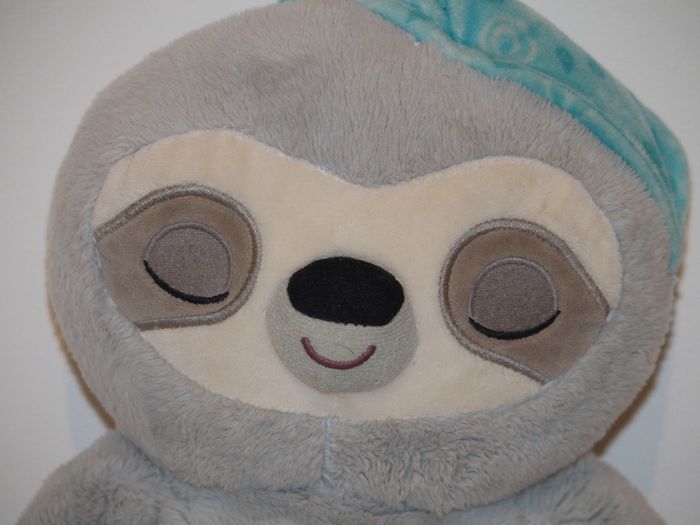 Paresseux rêves merveilleux - Interactif - photo numéro 2