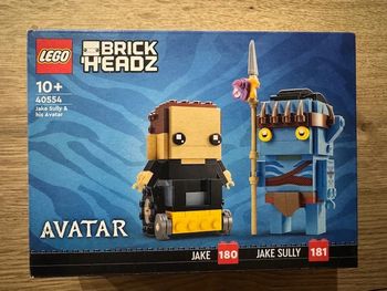 LEGO 40554 - Jake Sully et son Avatar